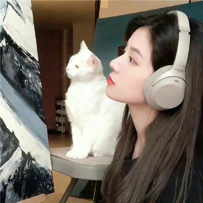 长颈鹿返学啦!