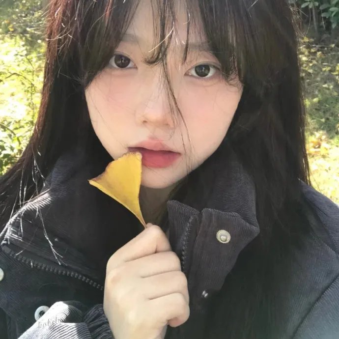 剧集长廊
